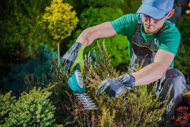 landscaping services Mesick
